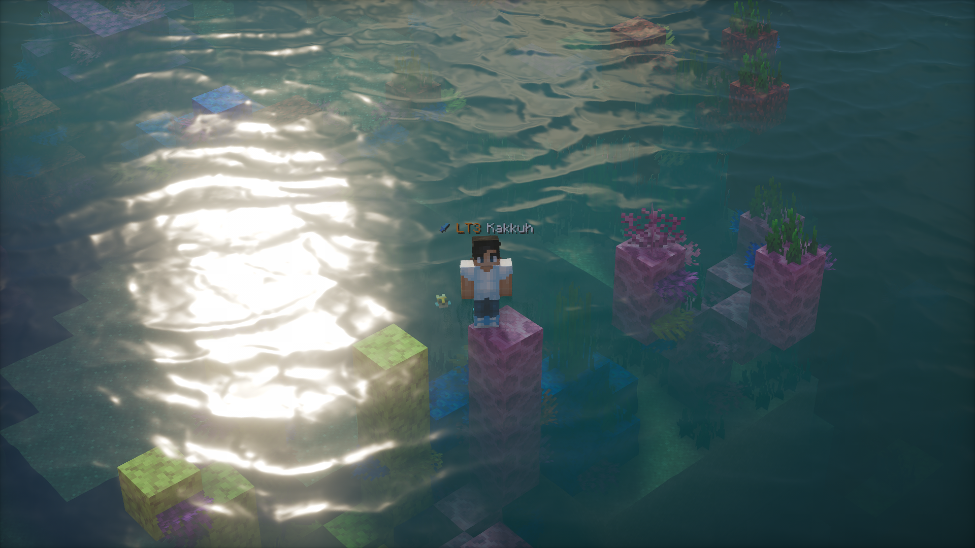 Suomi Tier Tagger Screenshot 4